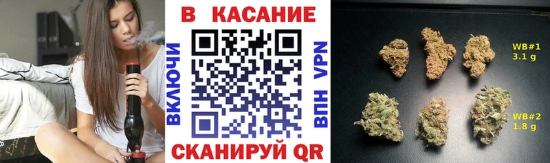 Галлюциногенные грибы Новохопёрск