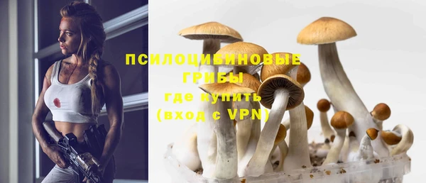 стаф Арсеньев