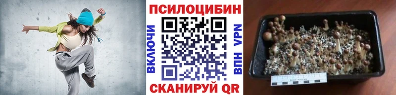 darknet официальный сайт  Новохопёрск  Галлюциногенные грибы мицелий  ссылка на мегу маркетплейс 